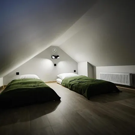 酒店 Dom Pod Jesionem *